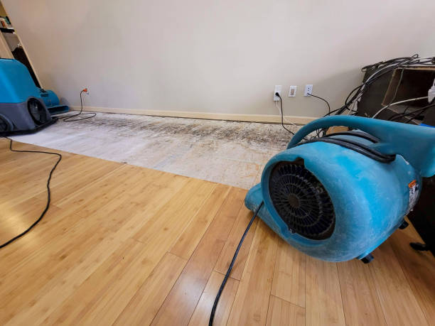 Professional Sewage Cleanup technician working in Roslyn, NY